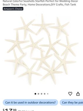 Natural White Starfish Set – Decorative Seashell Accents